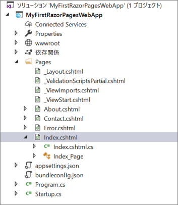 Razor Pages プロジェクト