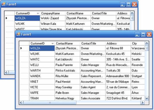 図13 列を非表示にする前と後のDataGridView 図13 列を非表示にする前と後のDataGridView