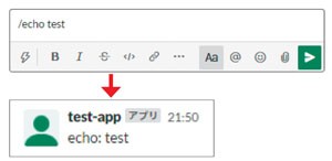 図4.8：スラッシュコマンド(/echo）の例