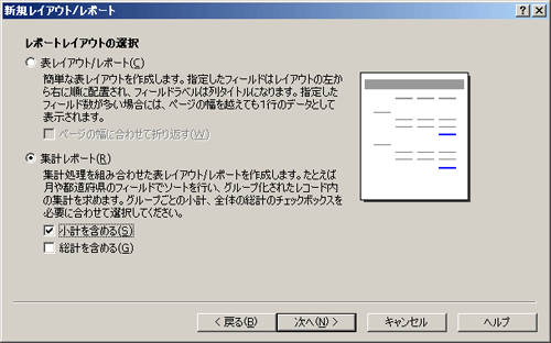 図29-2 集計レポートウィザード（集計レポートオプション）