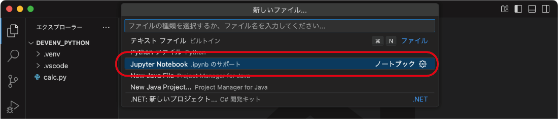 図10:「Jupyter Notebook」の選択