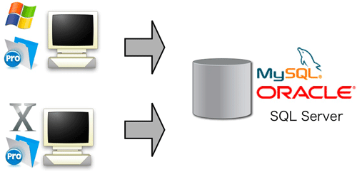 Macintosh、Windowsのどちらとも、ODBCというインターフェイスを使用可能なため、OSの違いを気にせず運用が可能