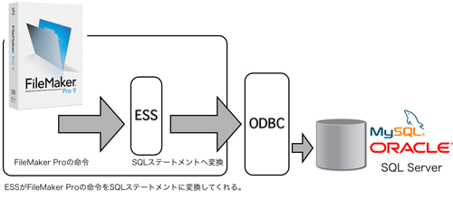 ESSがFileMaker Proの命令をSQLステートメントに変換してくれるので、利用者はSQLに関する知識が不要