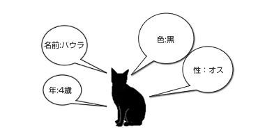 複数の情報を持つ猫。数字で区別すると他の人に分かり辛そうだ