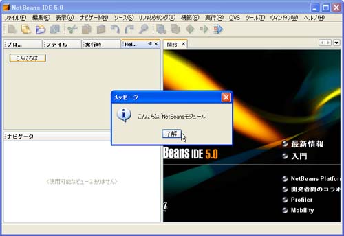 テスト用NetBeansが立ち上がって実行 テスト用NetBeansが立ち上がって実行