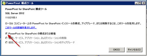 図6 PowerPivot構成ツールでオプション選択