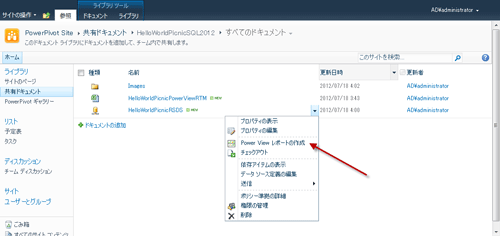 図32 Power Viewレポートの作成