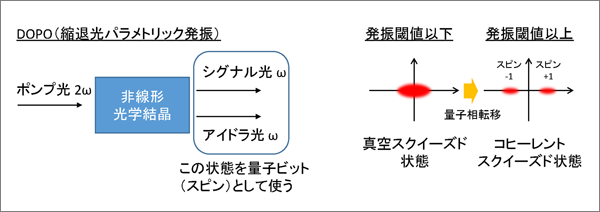コヒーレントイジングマシン（CIM）の基本原理
