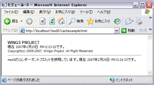 cache.ymlで設定したキャッシュの例