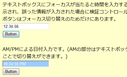 図21 正しい形式で入力された画面（下のテキストボックスにフォーカスが当たっている）