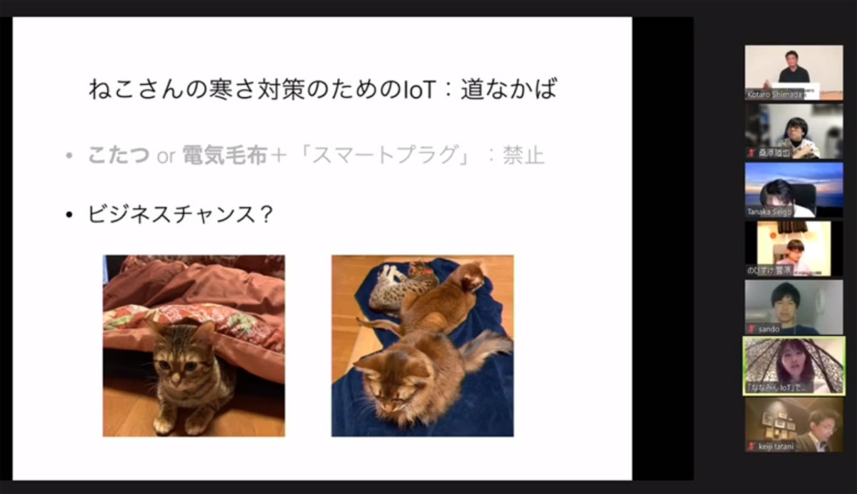 ねこさんの寒さ対策のためのIoTの可能性