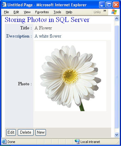 図2　デフォルトのWebサイトにデータベースからの写真が表示された状態