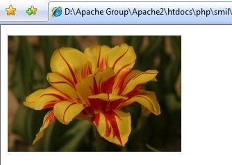 図2　IE 7でのHTMLとSMIL: このHTMLサンプル（image.html）を実行すると、ページが読み込まれてから2秒後にイメージの表示が始まり、5秒間にわたって表示が持続し、さらにそれが繰り返される