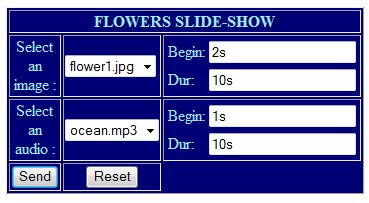 図6　HTMLフォーム: flower-slide_show_form.htmlフォームの外観