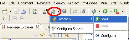図17　MyEclipseプラグインからTomcatを始動する