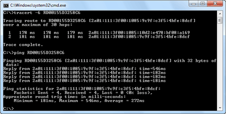 図15：Tracert,Pingの実行例