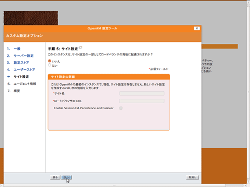 図6　手順5： サイト設定