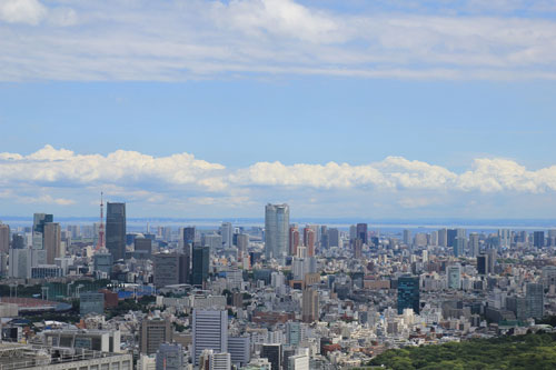 日中に下見に行った時の眺め